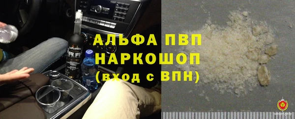 гашик Заводоуковск
