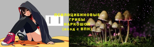 соль ск Заволжье