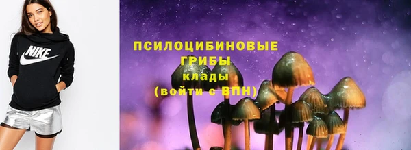 соль ск Заволжье
