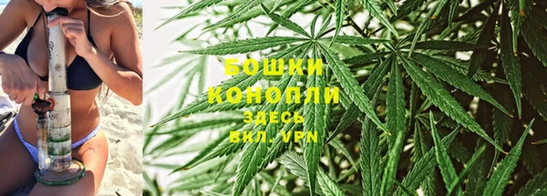прущие крисы Зеленодольск