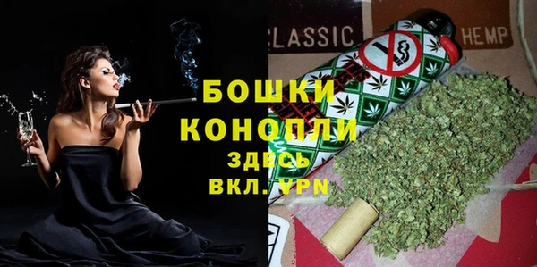 СК Зерноград