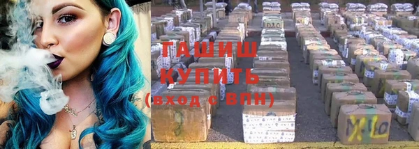 гашик Заводоуковск