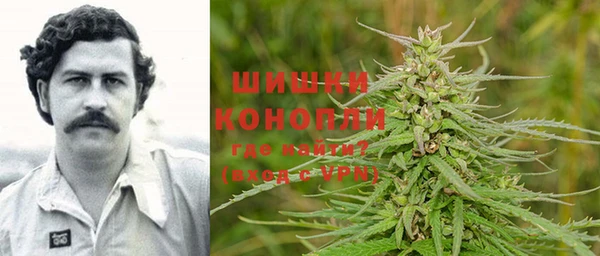 гашик Заводоуковск