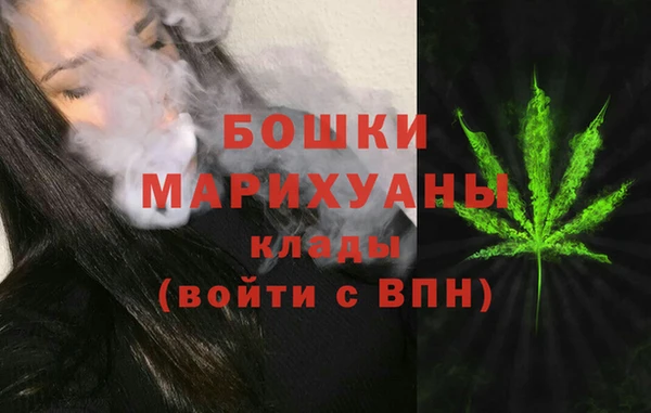 СК Зерноград